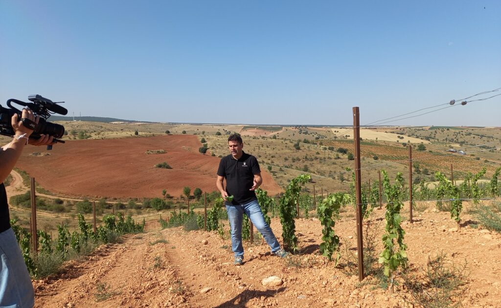 plantando futuro en ribera del duero